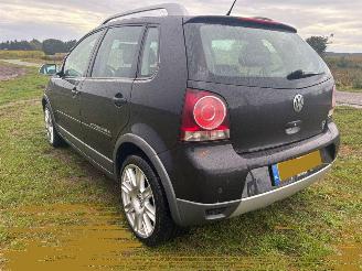 Volkswagen Polo Polo cross picture 7