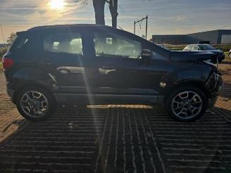 Ford EcoSport EcoSport (JK8), SUV, 2013 1.0 EcoBoost 12V 125 picture 7