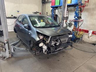  Kia Picanto Picanto (JA), Hatchback, 2017 1.0 DPI 12V 2023/8