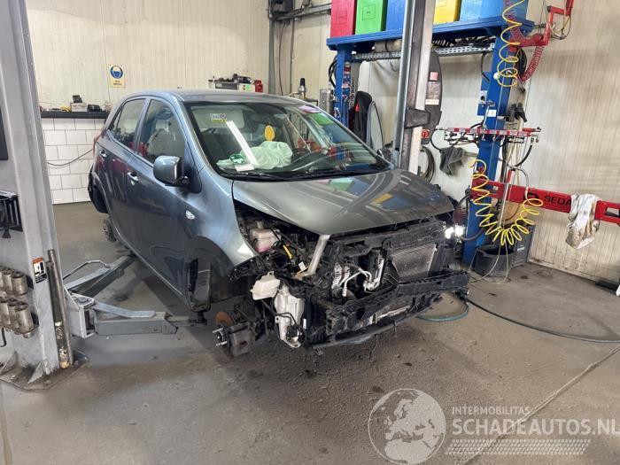 Kia Picanto Picanto (JA), Hatchback, 2017 1.0 DPI 12V