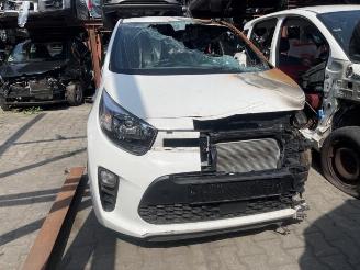 Salvage car Kia Picanto Picanto (JA), Hatchback, 2017 1.0 DPI 12V 2024/5