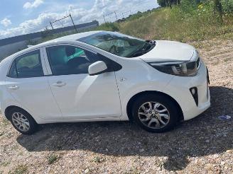 Kia Picanto Picanto (JA), Hatchback, 2017 1.0 12V picture 2