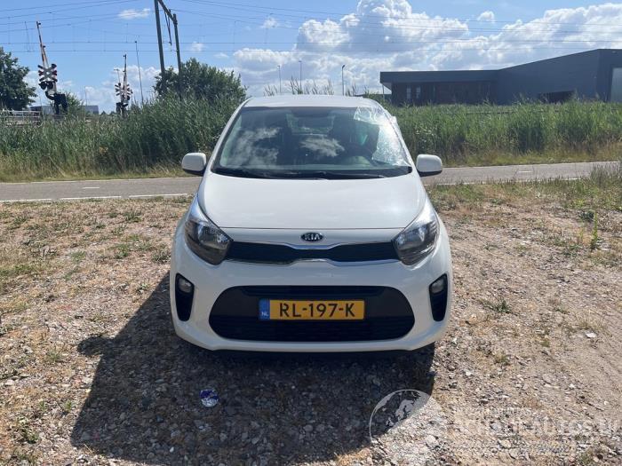 Kia Picanto Picanto (JA), Hatchback, 2017 1.0 12V
