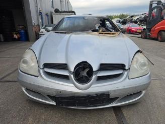 Dezmembrări autoturisme Mercedes SLK SLK (R171), Cabrio, 2004 / 2011 1.8 200 K 16V 2007/4
