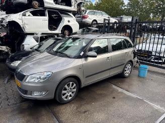 Vrakbiler auto Skoda Fabia Fabia II Combi, Combi 5-drs, 2007 / 2014 1.2 TSI 2012/2