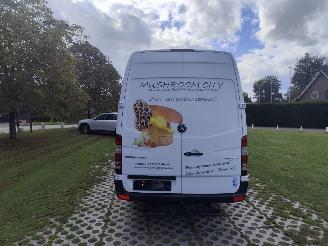 Mercedes Sprinter KOELWAGEN 316 CDI MAXI AIRCO picture 12