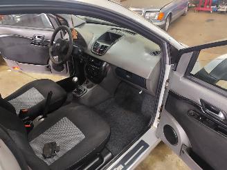 JDM  ALOES picture 8