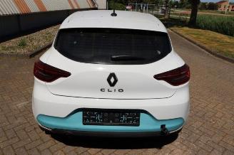 Renault Clio Clio V (RJAB), Hatchback 5-drs, 2019 1.0 TCe 100 12V Bi-Fuel picture 4