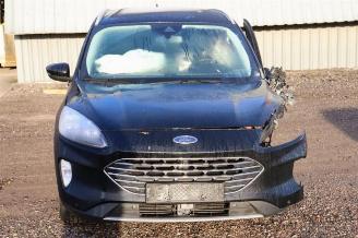 Ford Kuga Kuga III (DFK), SUV, 2019 2.5 PHEV 16V picture 8