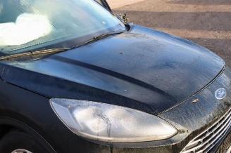 Ford Kuga Kuga III (DFK), SUV, 2019 2.5 PHEV 16V picture 31