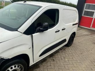 Opel Combo Combo Cargo, Van, 2018 1.6 CDTI 100 picture 10
