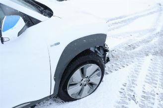 Hyundai Kona Kona (OS), SUV, 2017 / 2023 64 kWh picture 18