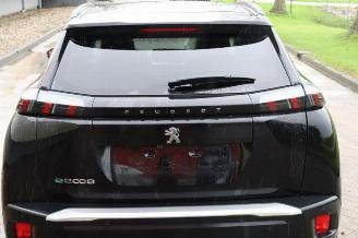 Peugeot 2008 2008 (UD/UK/UR/US/UX), MPV, 2019 e-2008 50 kWh picture 32