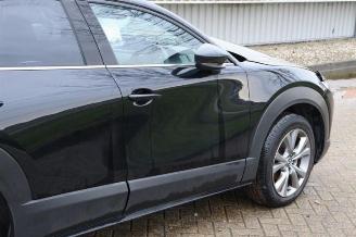 Mazda CX-30 CX-30 (DM), SUV, 2019 2.0 e-SkyActiv-G 122 16V picture 25