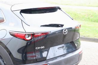 Mazda CX-30 CX-30 (DM), SUV, 2019 2.0 e-SkyActiv-G 122 16V picture 34