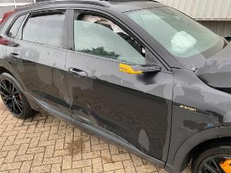 Audi E-tron e-tron (GEN), SUV, 2018 / 2023 55 quattro picture 27