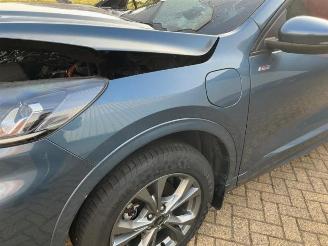 Ford Kuga Kuga III (DFK), SUV, 2019 2.5 PHEV 16V picture 16