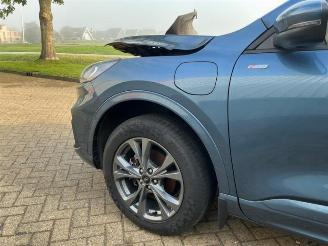 Ford Kuga Kuga III (DFK), SUV, 2019 2.5 PHEV 16V picture 17