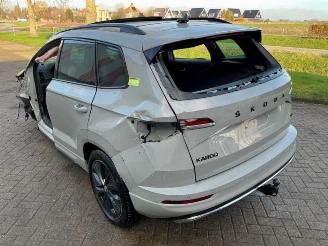 Skoda Karoq Karoq, SUV, 2017 2.0 TSI 4x4 picture 5