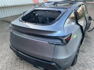 Tesla Model Y Model Y, SUV, 2025 RWD 58 kWh, Long Range RWD 75 kWh picture 22
