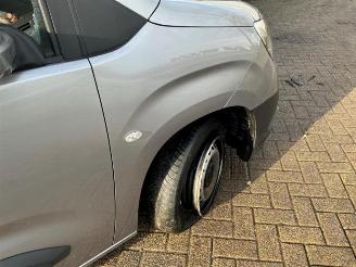 Opel Combo Combo Cargo, Van, 2018 1.6 CDTI 75 picture 10