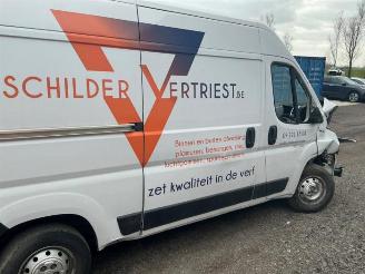 Fiat Ducato Ducato (250), Bus, 2006 2.3 D 130 Multijet Minibus Extralongo picture 9