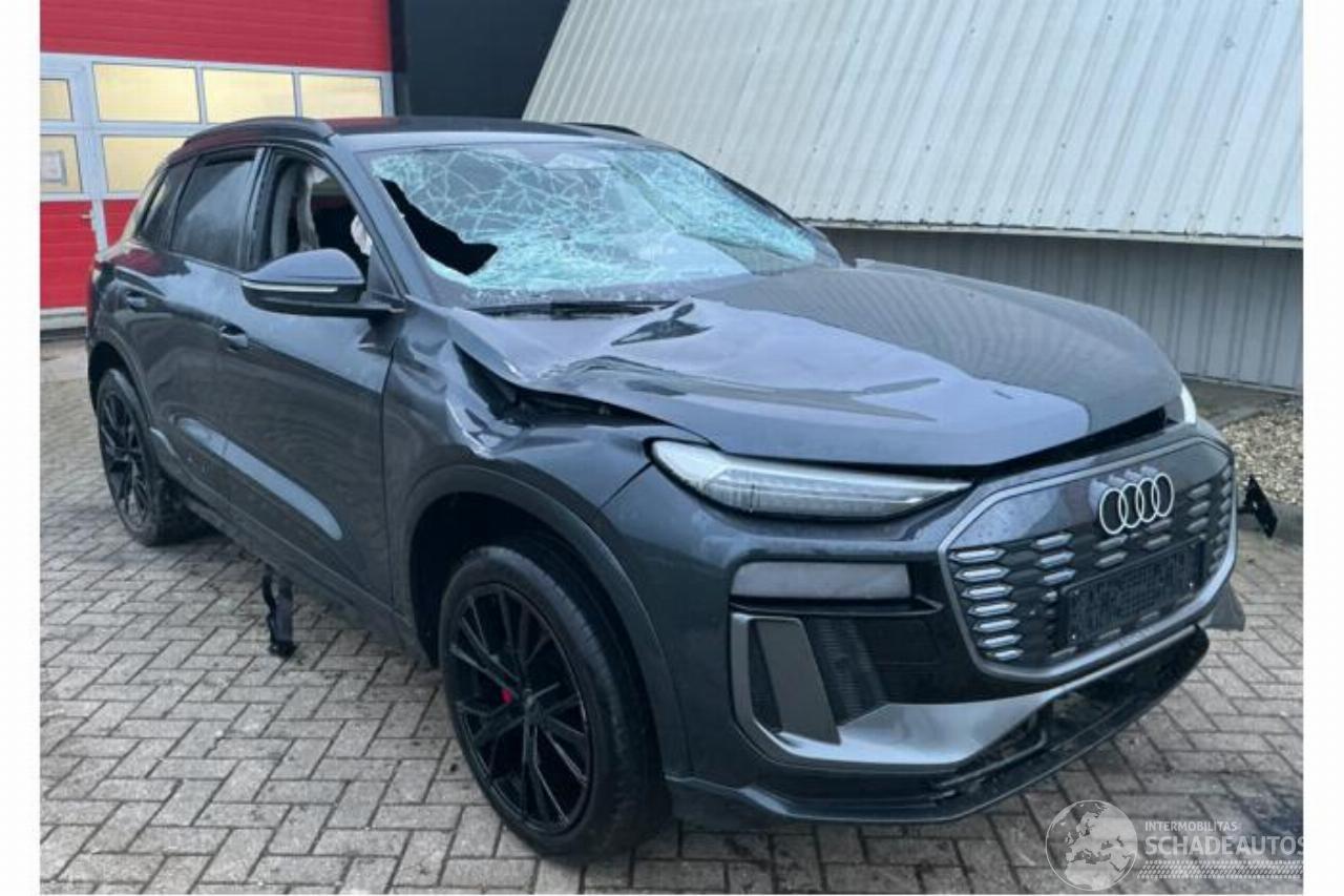 Audi Q6 Q6 e-tron (GFB), SUV, 2024 Performance 100 kWh