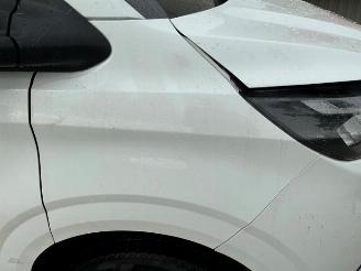 Ford Transit Transit Custom, Van, 2023 2.0 EcoBlue 136 picture 33