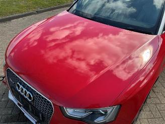 Audi Rs5 RS 5 (8F7), Cabrio, 2013 / 2015 4.2 V8 32V picture 19