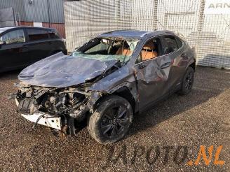 Auto da rottamare Lexus UX UX, SUV, 2019 250h 2.0 16V 2019/5
