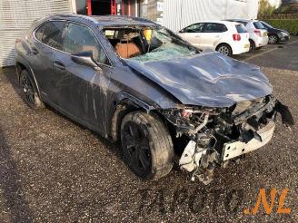 Lexus UX UX, SUV, 2019 250h 2.0 16V picture 7