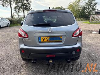 Nissan Qashqai Qashqai (J10), SUV, 2007 / 2014 2.0 16V picture 4