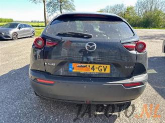 Mazda MX-30 MX-30, SUV, 2020 e-SkyActiv 145 picture 4