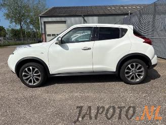 Nissan Juke Juke (F15), SUV, 2010 / 2019 1.6 16V picture 2