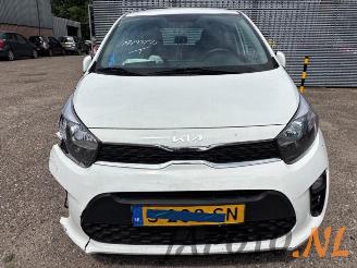 Kia Picanto Picanto (JA), Hatchback, 2017 1.0 DPi 12V picture 8