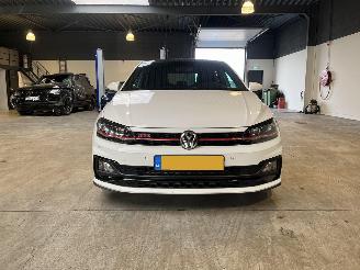 Volkswagen Polo 2.0 TSI GTI VOL! picture 8