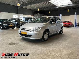 Auto incidentate Peugeot 307 1.6-16V XS Premium 2005/1