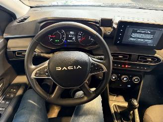 Dacia Sandero Stepway 1.0 TCe 110 Extreme picture 19