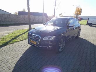 Audi SQ5 3.0 TDI SQ5 q. Pro L picture 7