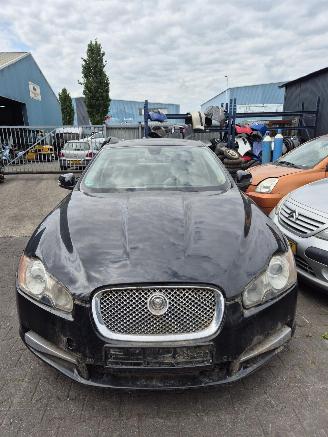 Auto da rottamare Jaguar XF (CC9) 2.7 D V6 24V Sedan, 4Dr, Diesel, 2.720cc, 152kW (207pk), RWD, 7G; AJTDV6 2008/1