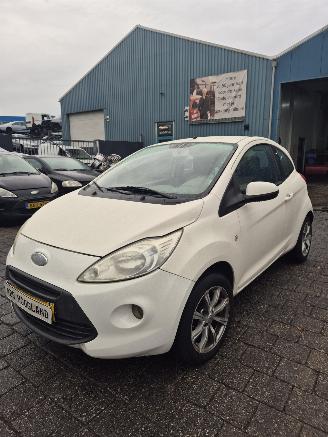 Ford Ka II 1.2 Hatchback, Benzine, 1.242cc, 51kW (69pk), FWD, 169A4000; EURO4, 5-BAK picture 3