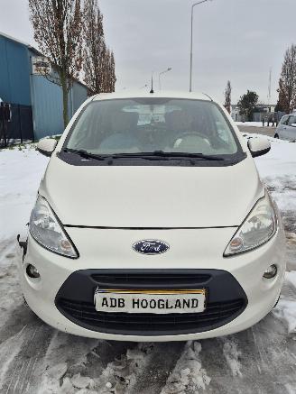  Ford  II Hatchback 1.2 (169.A.4000(Euro 4; Euro 5)) [51kW] 5-BAK 2010/1