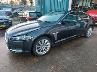 uszkodzony samochody osobowe Jaguar XF 2.2 D Luxury 2012/1
