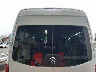Mercedes Sprinter Sprinter 3,5t (906.73) Bus 311 CDI 16V picture 7