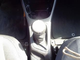 Kia Picanto (TA) Hatchback 1.0 12V (G3LA) [49kW] picture 10