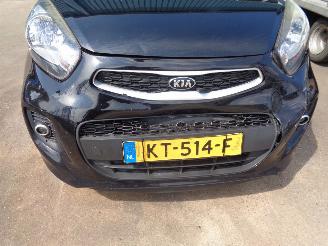 Kia Picanto (TA) Hatchback 1.0 12V (G3LA) [49kW] picture 14