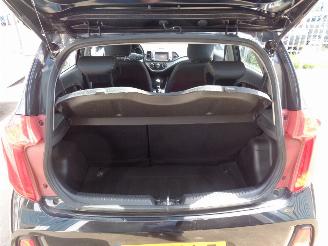 Kia Picanto (TA) Hatchback 1.0 12V (G3LA) [49kW] picture 13