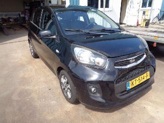 Kia Picanto (TA) Hatchback 1.0 12V (G3LA) [49kW] picture 2