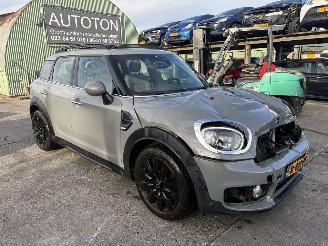 skadebil auto Mini Countryman 1.5 75KW Autom. Pano Clima Navi Dutch Made Edition Led 2019/9