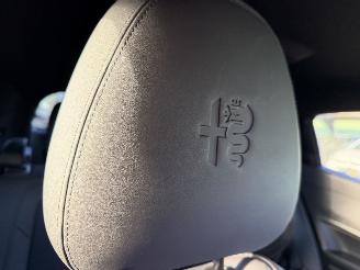 Alfa Romeo Junior Elettrica 54 kWh 115KW Clima Navi Camera DNA NAP picture 11